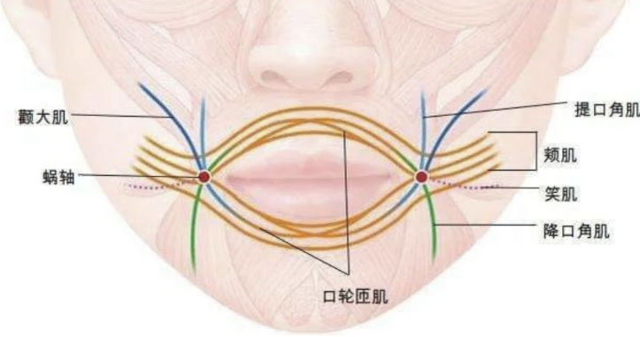K老別忽視唇，一下老十歲！