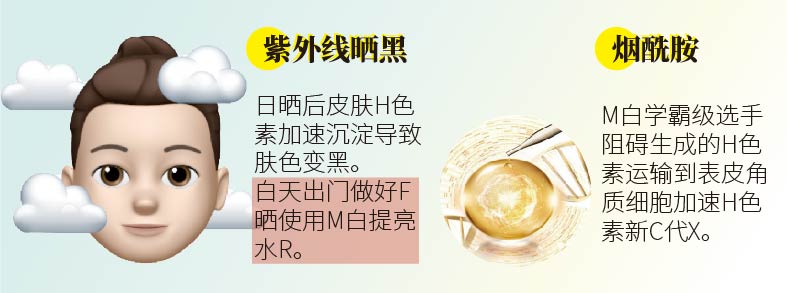 M白成分一籮筐！大圖告訴你怎么選